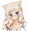 猫先生